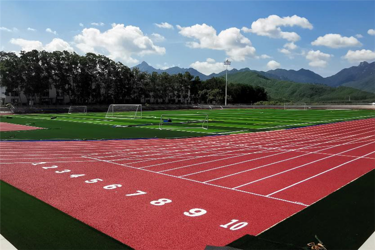 福建漳州科技学院田径场混合型塑胶跑道